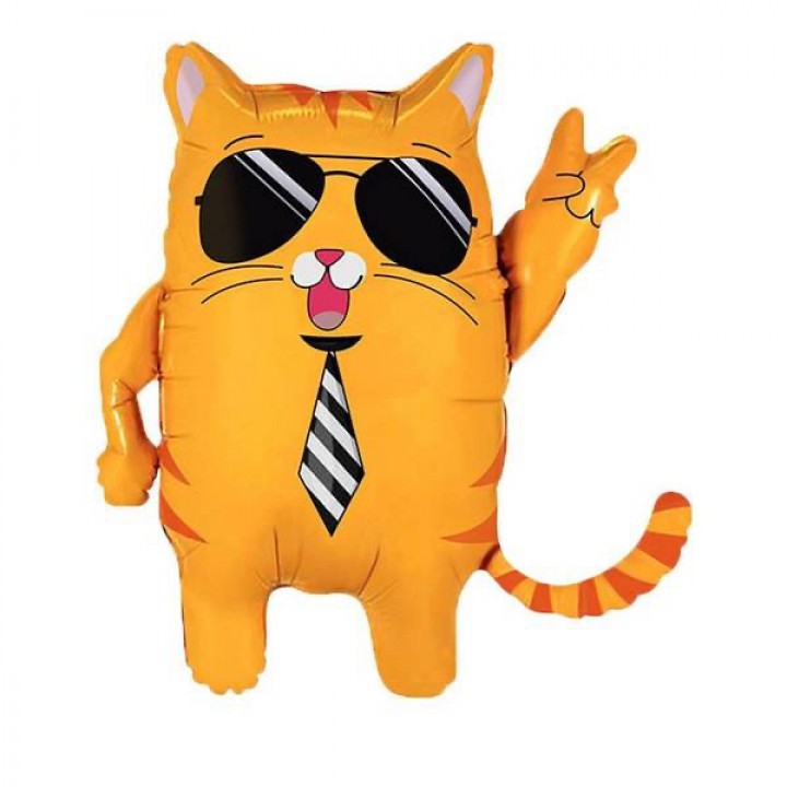 GÖZLÜKLÜ KEDİ FOLYO BALON 62-60 CM
