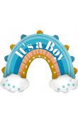 İTS A BOY GÖKKUŞAĞI
